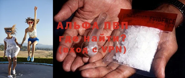 сатива Белоозёрский
