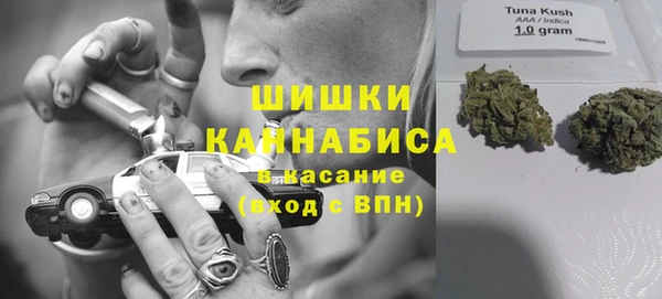 сатива Белоозёрский