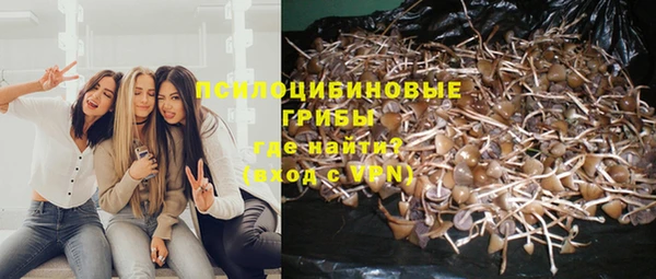 сатива Белоозёрский
