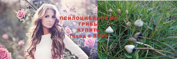 сатива Белоозёрский