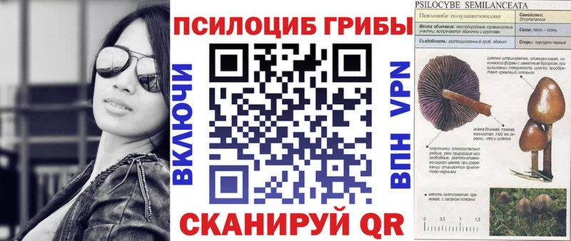 где купить наркоту  Буинск  OMG   shop официальный сайт  Галлюциногенные грибы MAGIC MUSHROOMS 