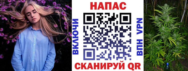 Шишки марихуана план  цены наркотик  Буинск 